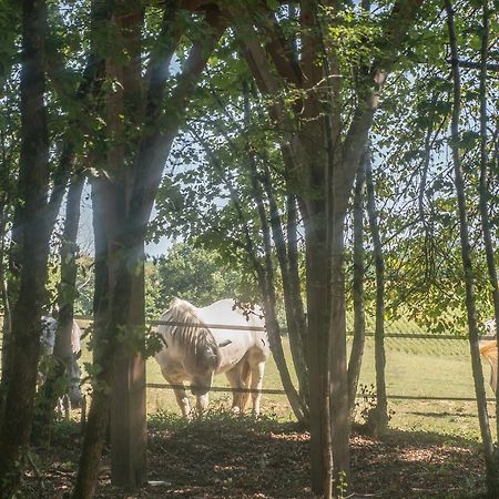 Bois Des Nauzes Βίλα Seyches Εξωτερικό φωτογραφία