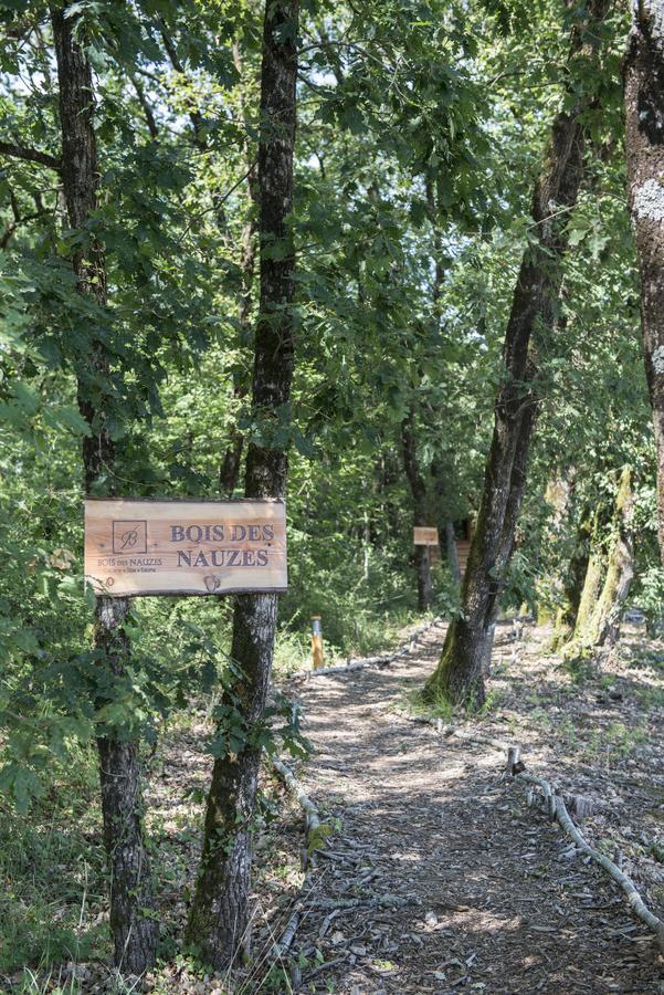Bois Des Nauzes Βίλα Seyches Εξωτερικό φωτογραφία